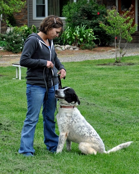 ... Dog Trainer – School for Dog Trainers USA | School for Dog Trainers