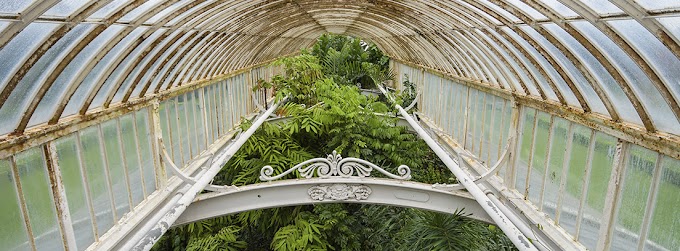 El Jardin Botanico Es Impresionante