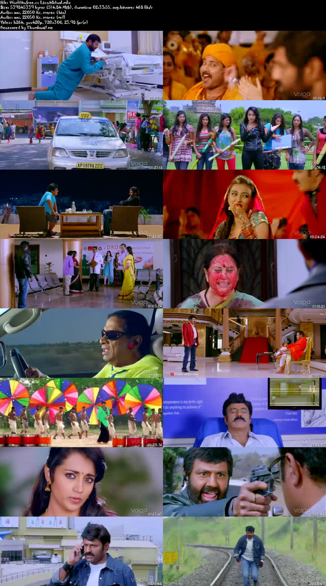 Lion 2015 Dual Audio [Hindi Telugu] 480p DVDRip 500MB