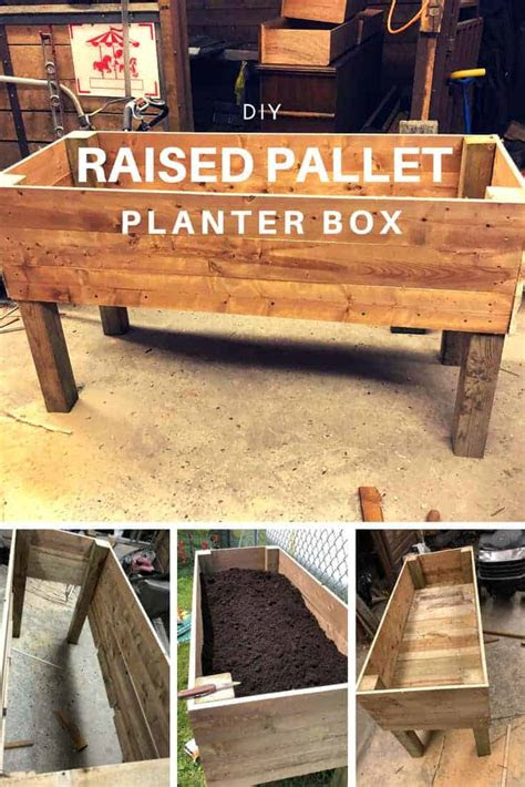 raised pallet planter box  pallets