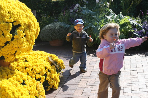 Wow - big mums!
