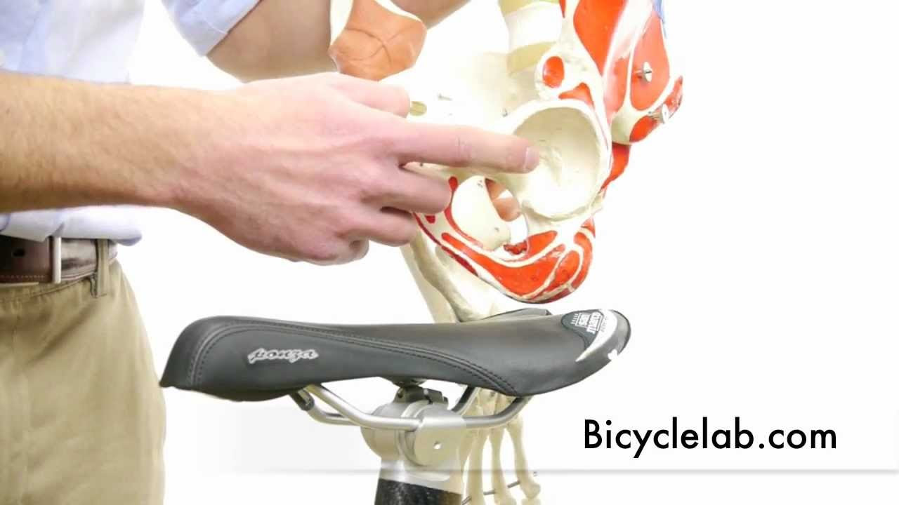 Bicycle Saddle - first video in series about seat comfort for cyclists ...