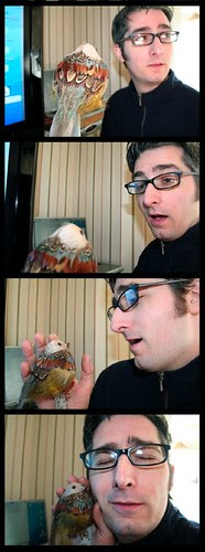 Bird in Love - Daily Self Portrait - January 10, 2006