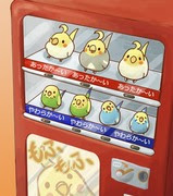 なにこれかわいい 鳥 セキセイインコ Pixiv年鑑 B