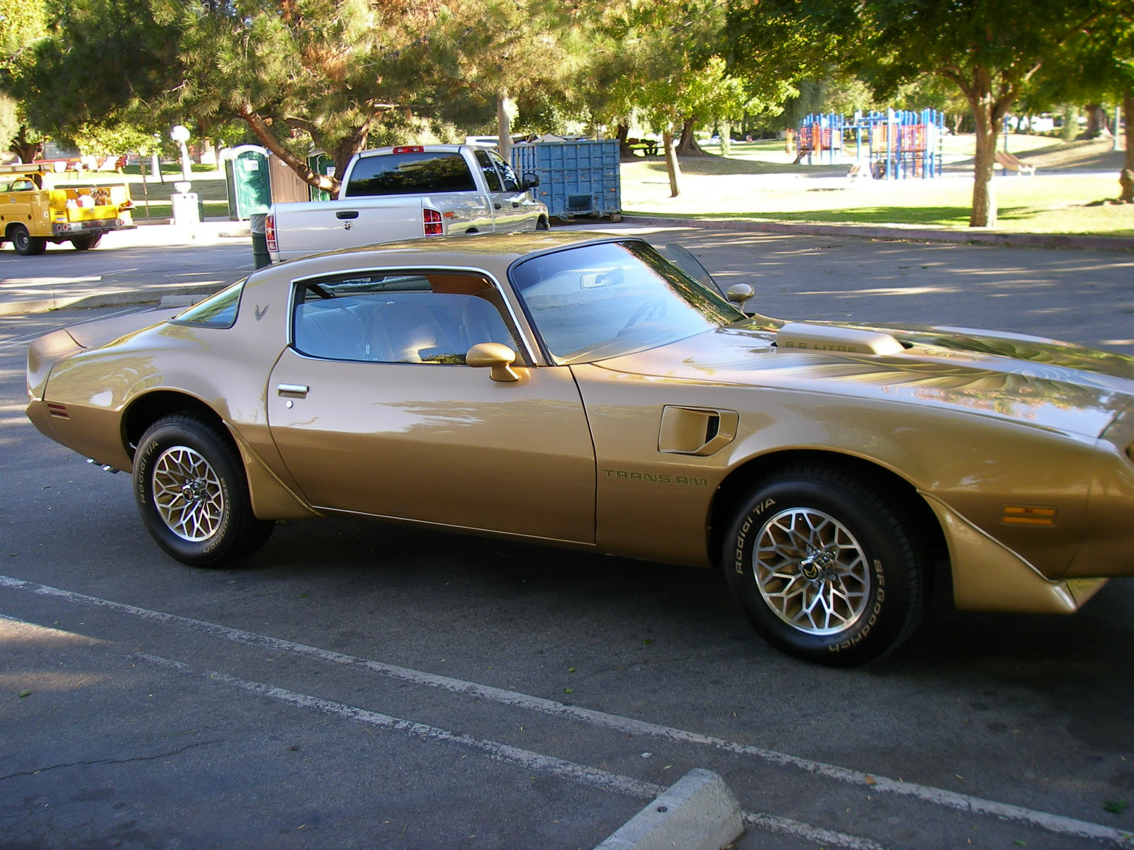 A fine sample of Trans Am 1979