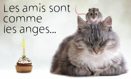 7 Textes Indispensables Pour Accompagner Vos Cartes Le Cyber Mag De Marjorie