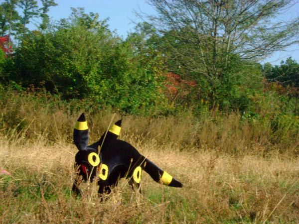ホンモノにしか見えない ポケモン ブラッキー のコスプレをするワンちゃん そうさめも