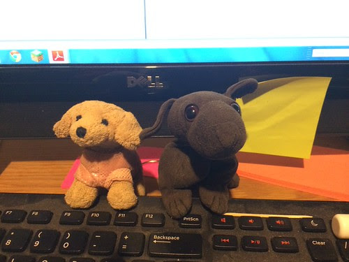 An honor bestowed by FlickPics88