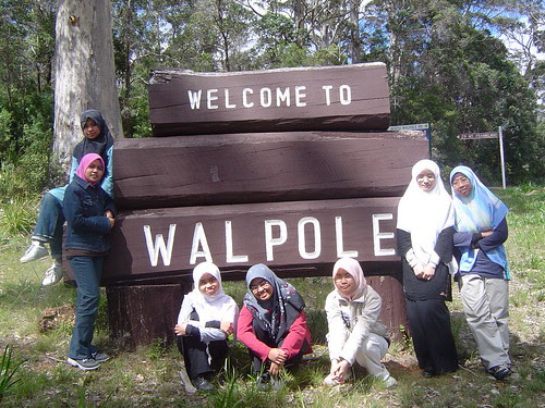 Wani 1 075