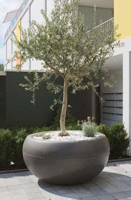 The plants that are suited to live under trees are adapted to live in areas of low light and low water. Aladin Extra Large Commericial Planter: Outdoor Pots for