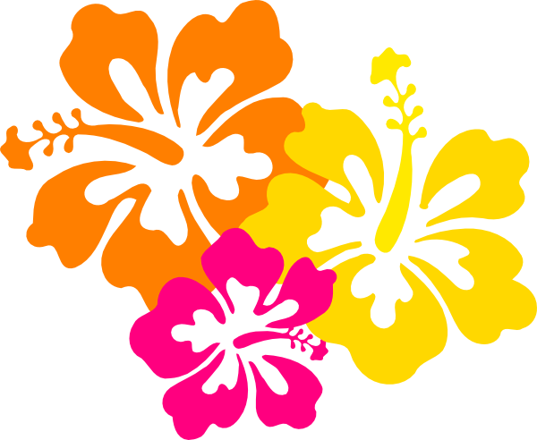 Hibiscus Flowers 4 5 Clip Art At Clker Com Vector Clip Art Online Royalty Free Public Domain