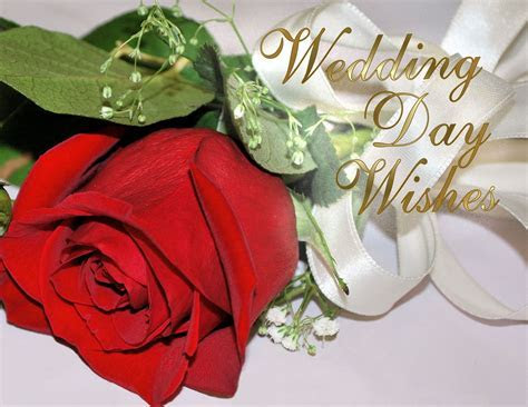 BEST GREETINGS: Free Anniversary Greeting Cards, Wedding  
