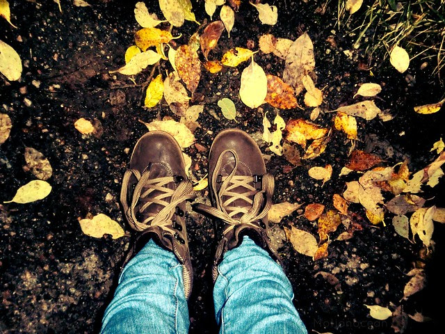 Autumn