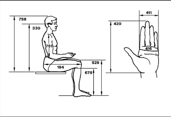 C13 Use of ergonomic and anthropometric data