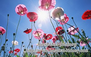 Mere almindelige symptomer på nefrotisk syndrom - makroalbuminuri