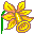 Flowers 19