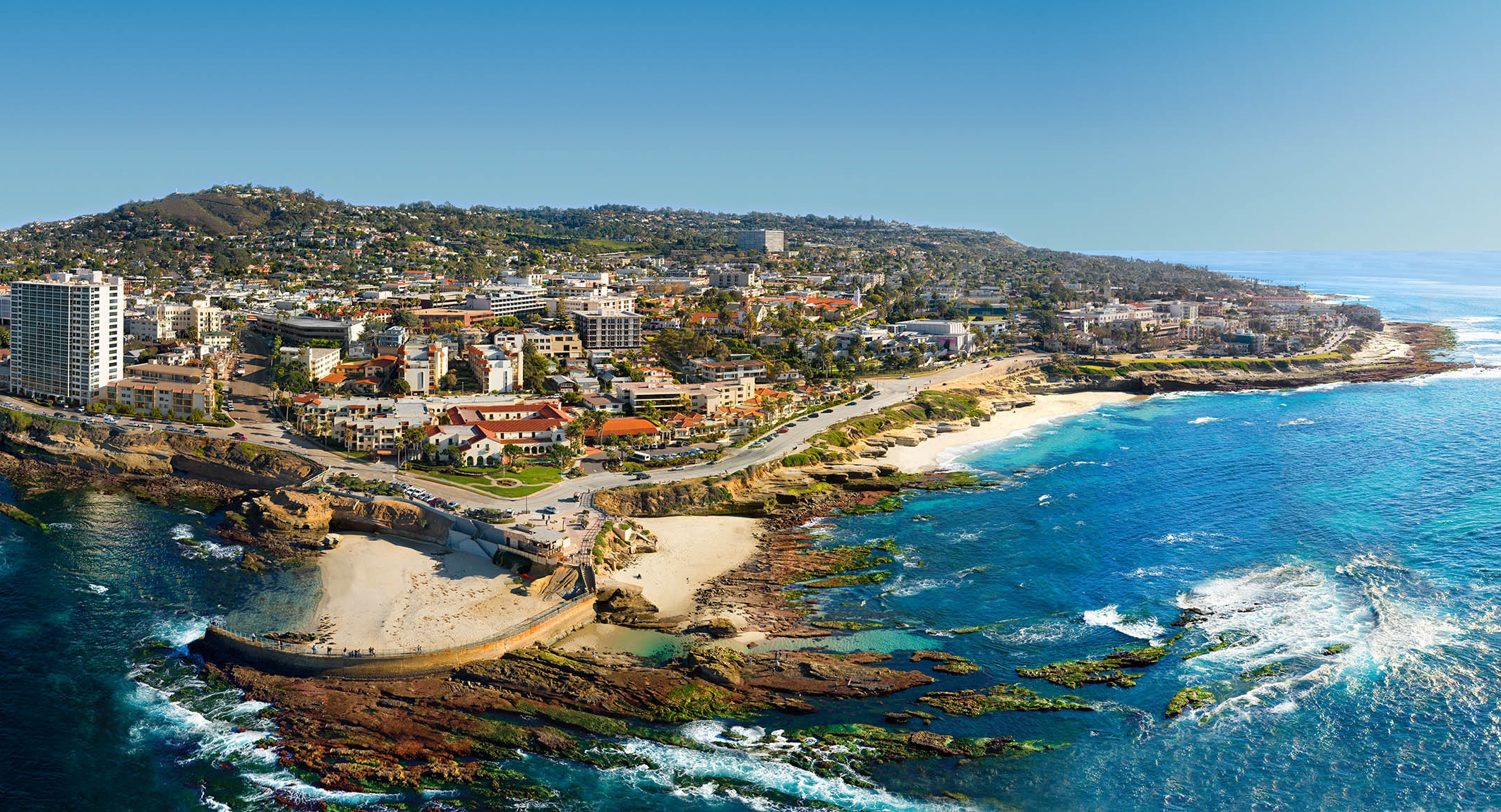 The Palmer Lab is moving to UCSD! | Palmer Lab
