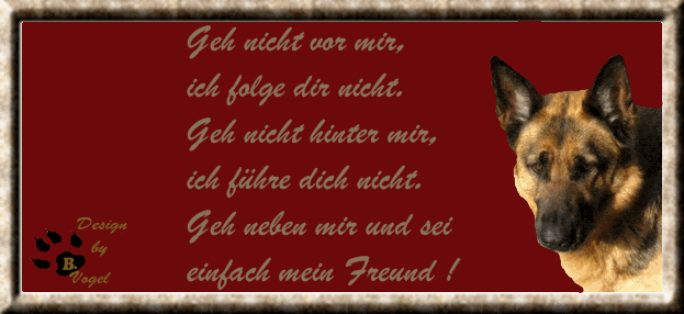 gute besserung zitate sprüche