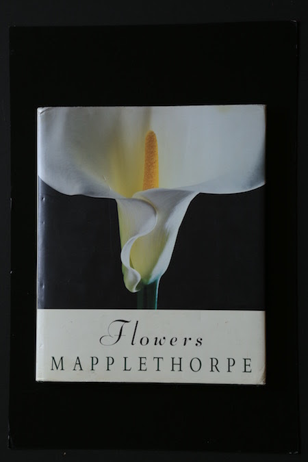 Book Music 書籍 Flowers Mapplethorpe 花 メイプルソープ 空が光のカンバスならば