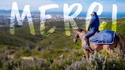 galop lena platonos PERDUS ENTRE VILLE ET NATURE - Vidéo 100k