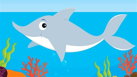 cute baby shark cartoon