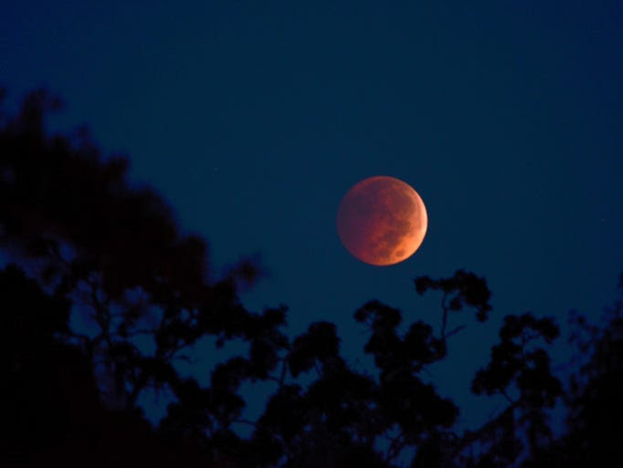 Blood moon over Murrells Inlet, S.C.