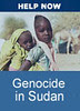 Stop a Genocide