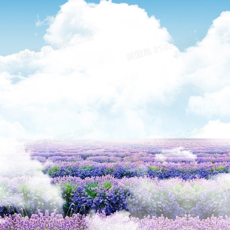 梦幻花海背景图片下载 免费高清梦幻花海背景设计素材 图精灵