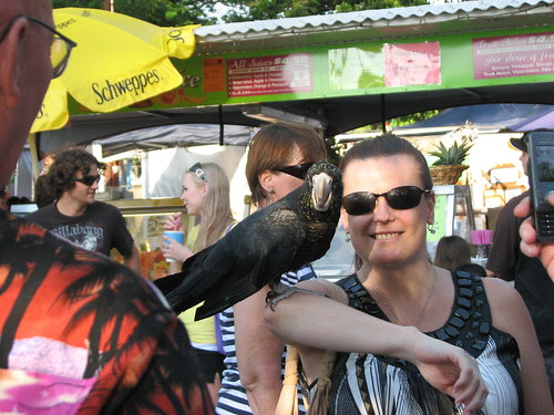 Parrot,Mindil Beach Market,