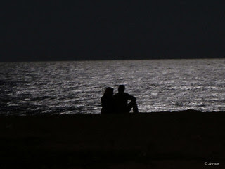 Romance under moonlit