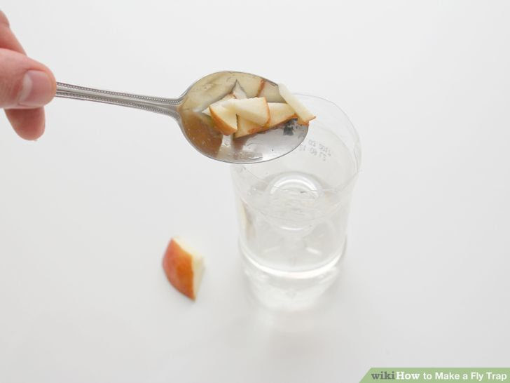Make a Fly Trap Step 7 Version 3.jpg