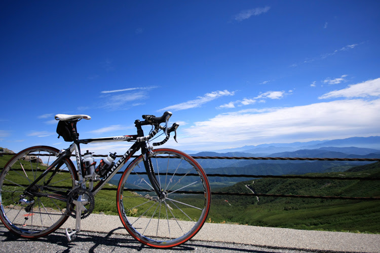 壁紙 しゅがぁー日記