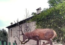 Cronaca - ANSA.it