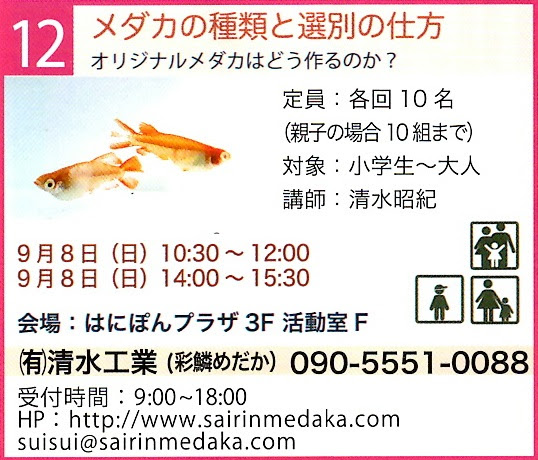 Event Schedule 彩鱗めだか