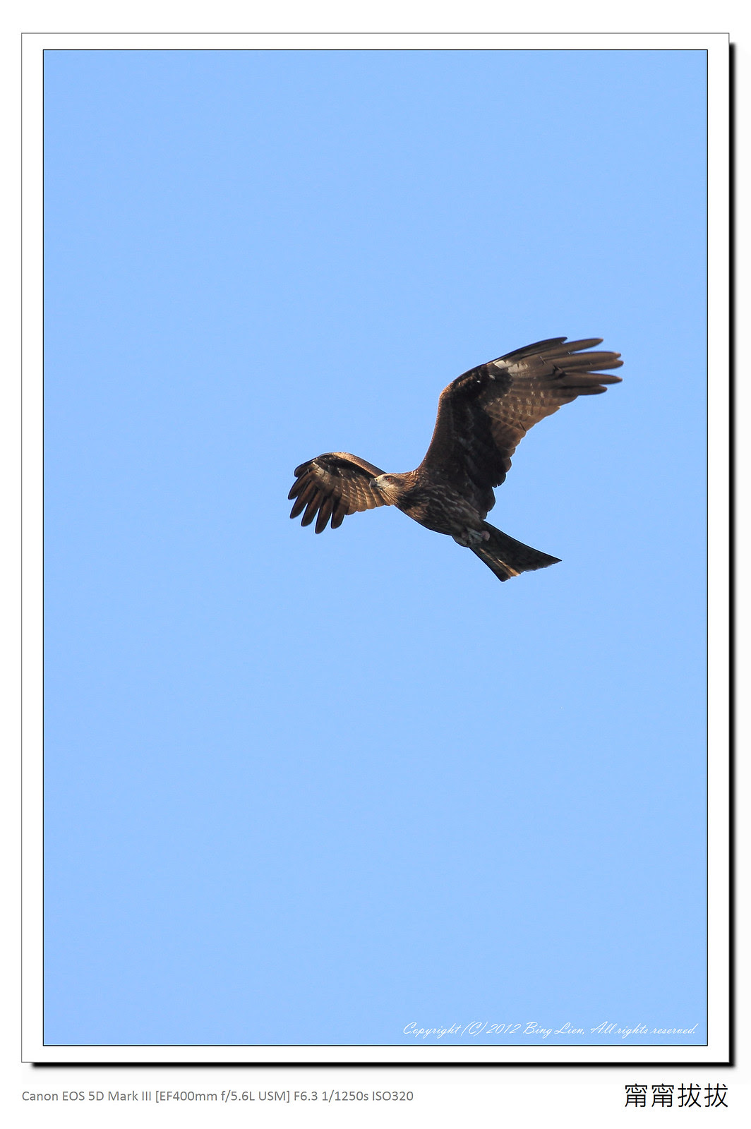 frame_BING5443