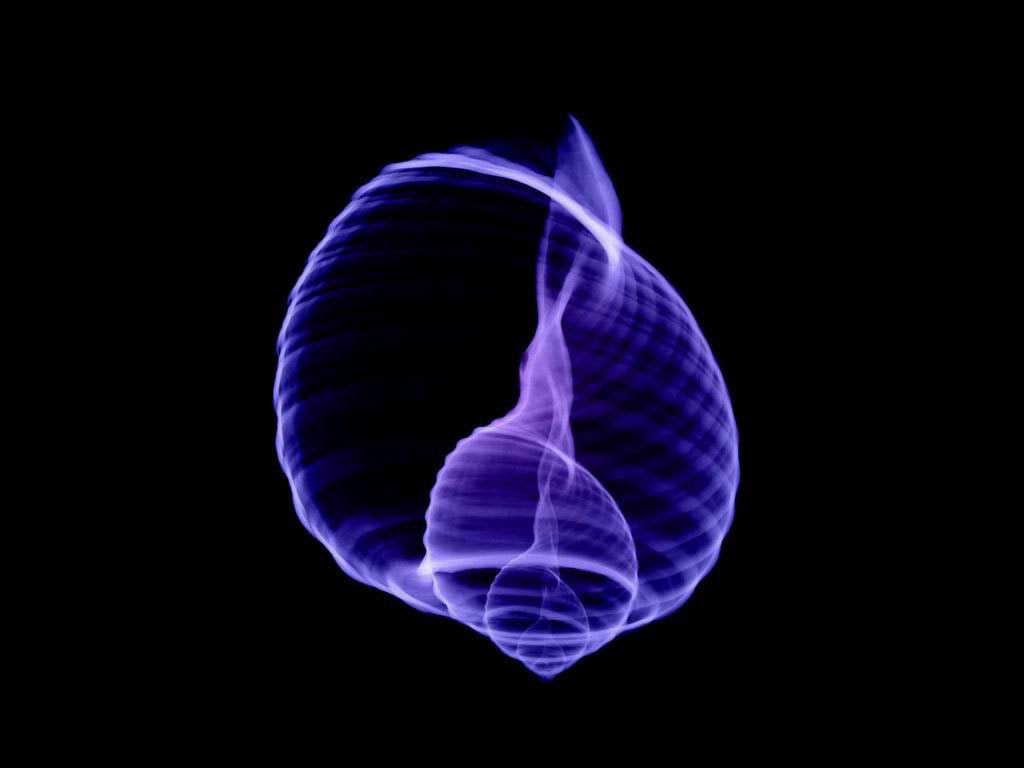 9 www x æµ·åºå¥æ¯ 9 www x æµ·åºå¥æ¯