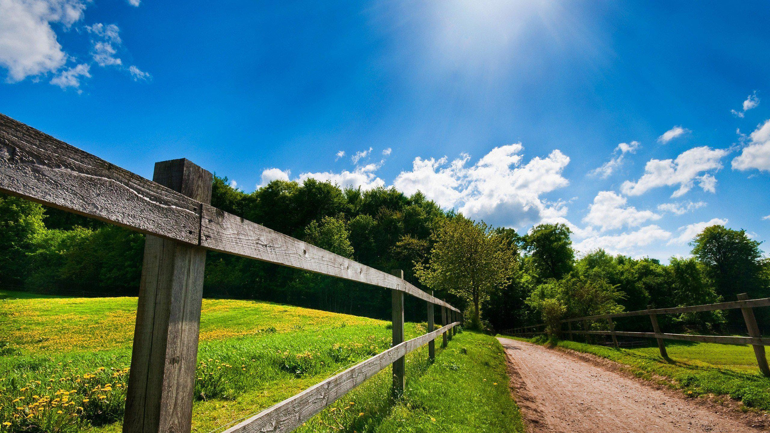 HD Summer Country Road HD Background Wallpaper Download Free