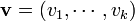 \mathbf{v} = (v_1, \cdots, v_k)