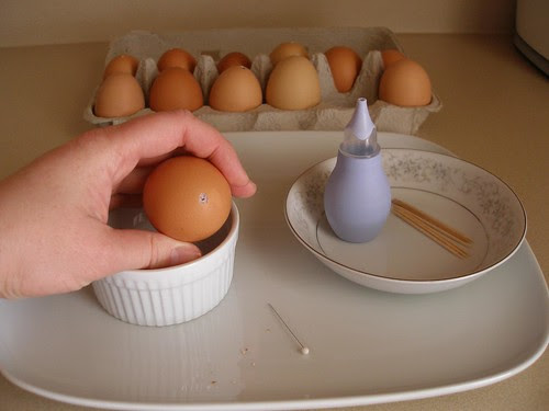 How to Blog Eggs- 4