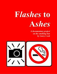 The cover of my Flashes to Ashes book