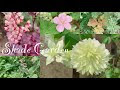 [最も欲しかった] ガーデニング 日陰の花 218437-ガーデニング 日陰の花