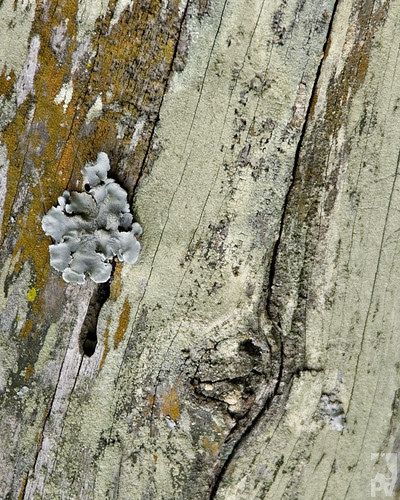 Textures