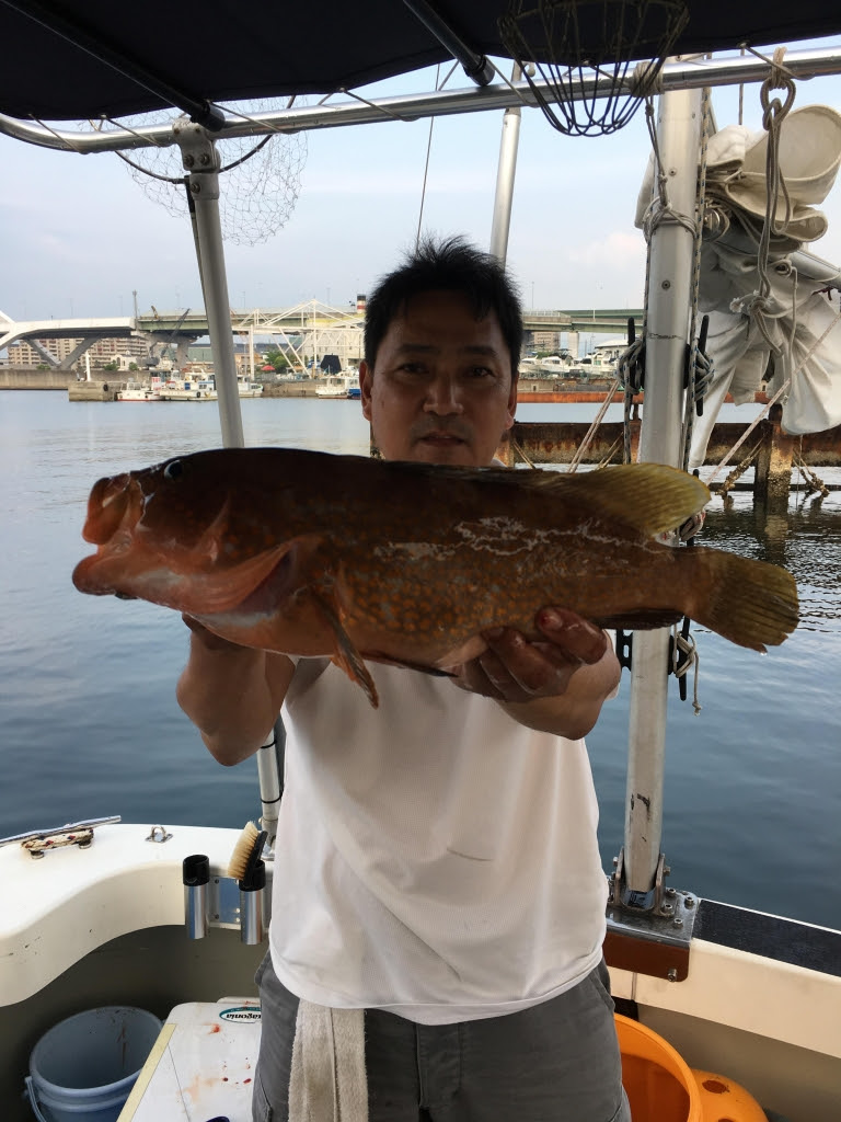 久しぶりの 加太 船釣り アコウ ガシラ 鬼アジ Arara