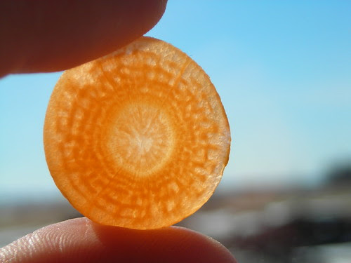 Sliced Carrot
