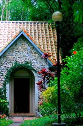 House in the woods