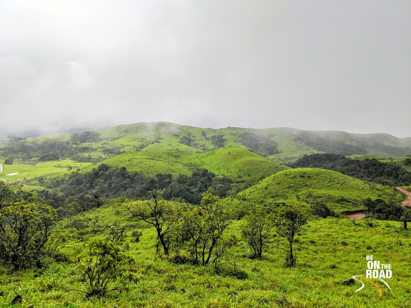 The greens of the Western Ghats that you see during the monsoons only