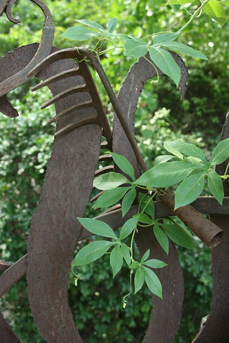 fence