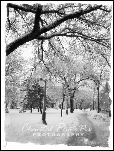 Winter Landscape in Canada by Chantal PhotoPix