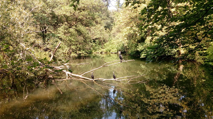 смешные, интересные и красивые фото
