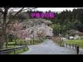 コレクション 中尊寺 桜 184369-中尊寺 桜井識子